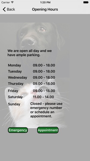 Pointer Veterinary Clinic Estepona(圖3)-速報App