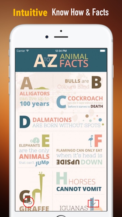 Funny Facts about Animals: Be Surprised and Smile