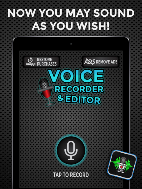 Tips and Tricks for Voice Recorder and Editor