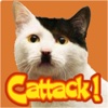 Cattack!