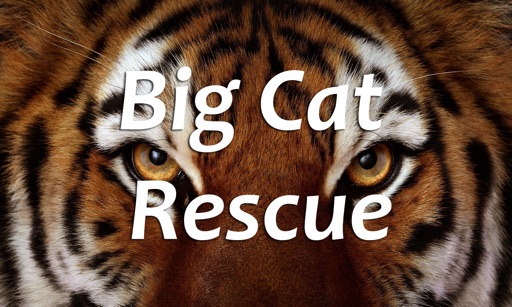 Big Cat Rescue for TV icon