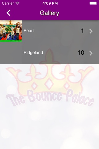 The Bounce Palace screenshot 3