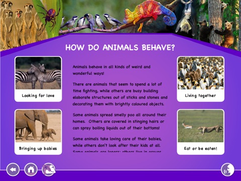 Discover MWorld Animal Behaviour screenshot 2