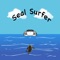 Do you think you have what it takes to become a seal surfer