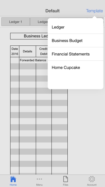 Account Ledger Pro screenshot-4