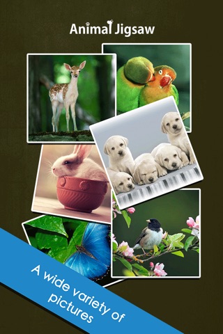 Animal Jigsaw - zoo Puzzle kids free games screenshot 3