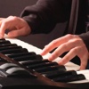 Play The Blues - Keyboards