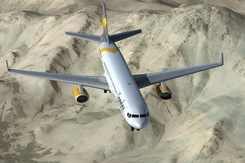 Big Bee - Cargo Plane Simulator screenshot 2