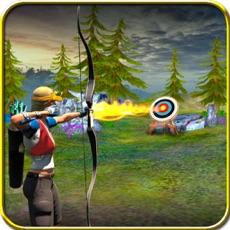 Activities of Archery 3D Game 2016