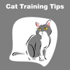 All Cat Training Tips