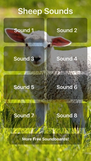 Sheep Sounds(圖1)-速報App