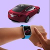 Summon Tesla - for Apple Watch