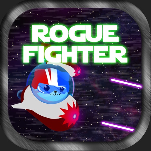 Rogue Fighter Icon