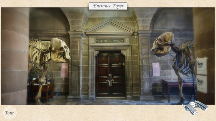 Edinburgh Anatomical Museum Tour