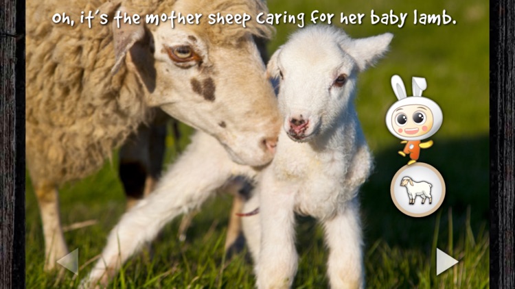 Oink! Learn Farm Animal Sound: Preschool Education