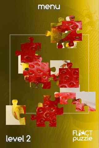 CRG FliActPuzzle screenshot 2