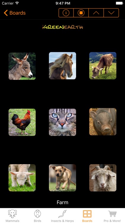 Animal Chatter Pro screenshot-4
