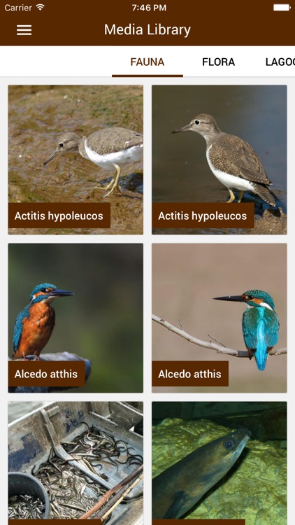 Lagoons of Corsica screenshot-4