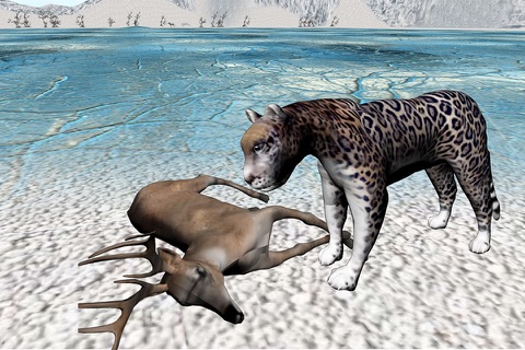 Snow Leopard Survival Attack -  Wild Siberian Beast Hunting Attack Simulation 2016 screenshot 4