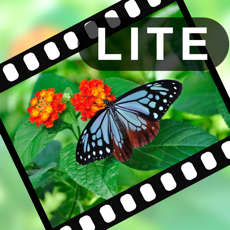 VIdeoStiller Lite - 截下影片的精采「瞬间」! for mac