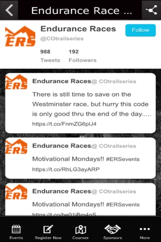 Endurance Race Series screenshot 3