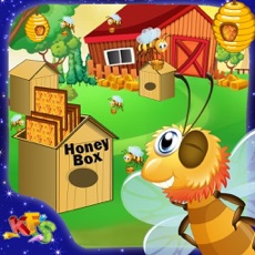Activities of Bee Honey Farming – Little farmers feed & take care of the bees in the farm