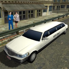 Activities of Drive Limousine 3D Simulator
