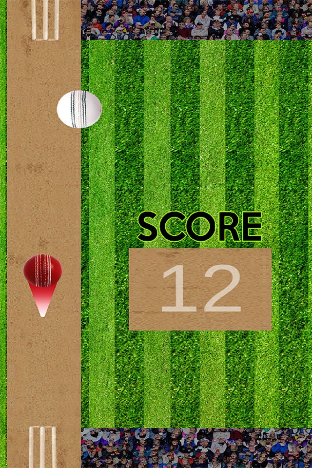 Bing Bong Cricket screenshot 3