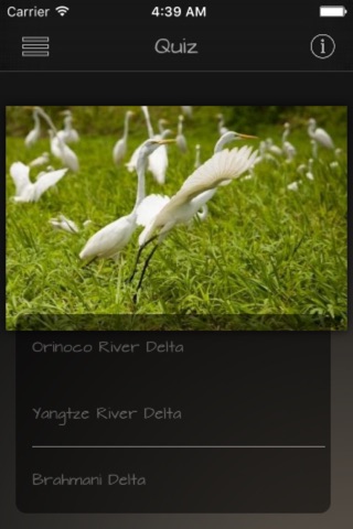 River Deltas Info + screenshot 3