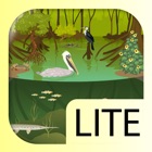 Top 20 Education Apps Like iBiome-Wetland Lite - Best Alternatives
