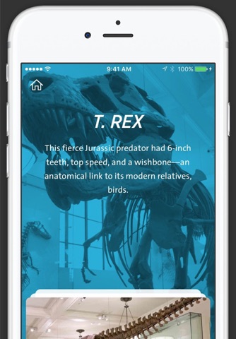 Dinosaurs: The American Museum of Natural History Collections screenshot 3