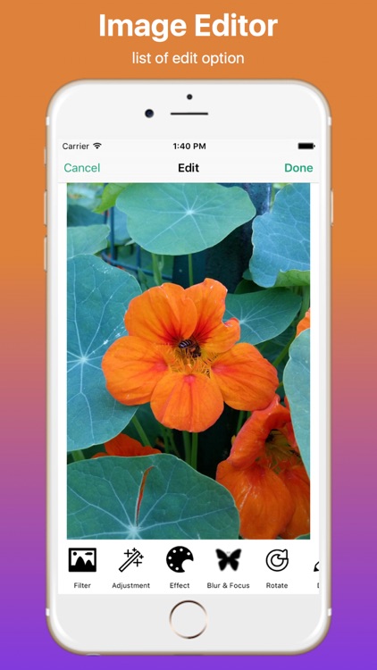 photoshine mobile