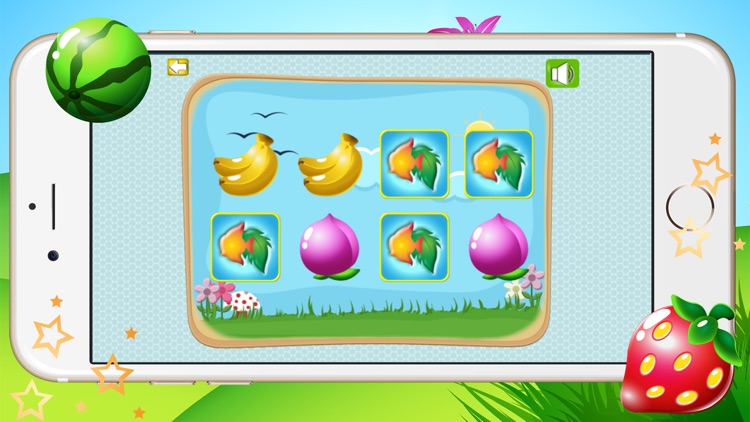Fruit And Fish Preschool Educational Matching Games for Kids
