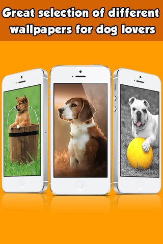 Dog Wallpapers & Backgrounds HD Free screenshot 3
