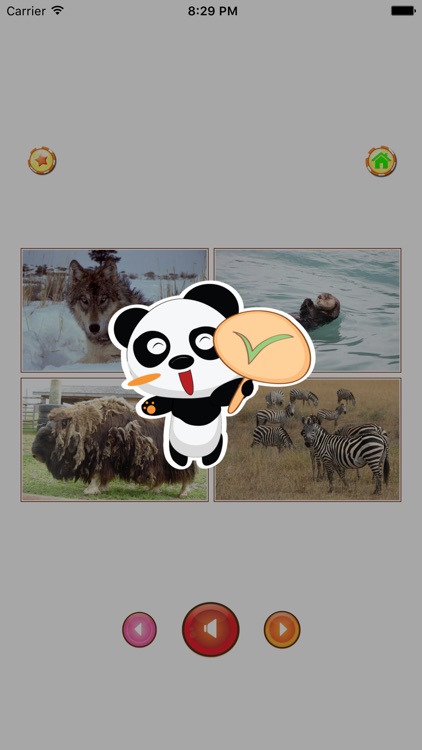 Animal sounds - App for kids screenshot-3