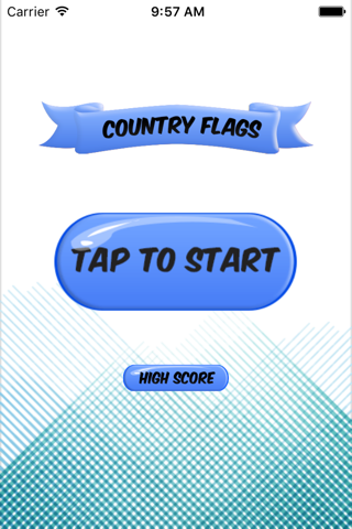 Flag Theme Puzzle Game & Spell Checker screenshot 2