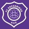 FC Erzgebirge Aue