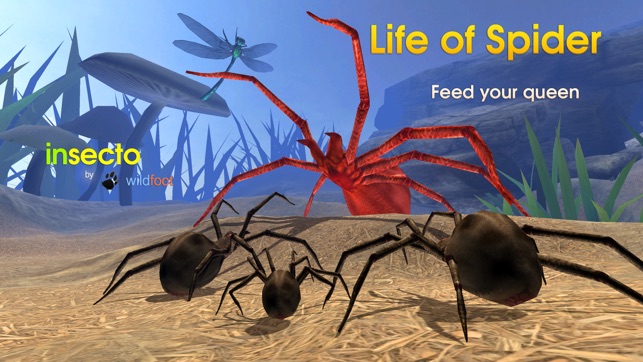 Life Of Spider(圖2)-速報App