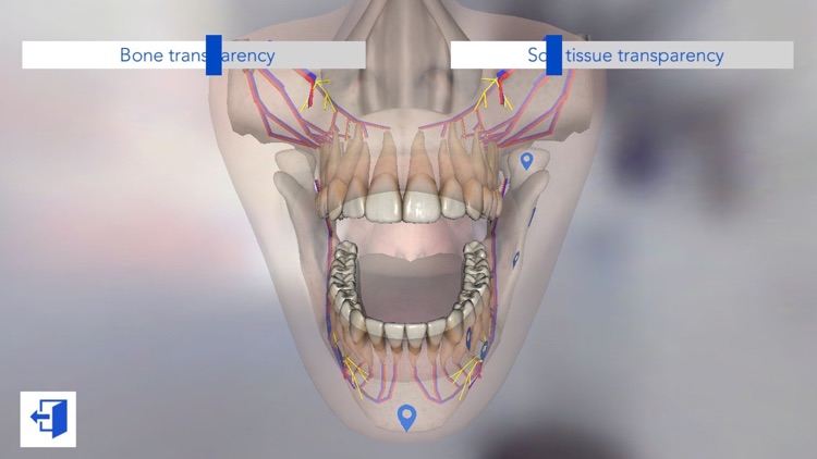 Dental Simulator