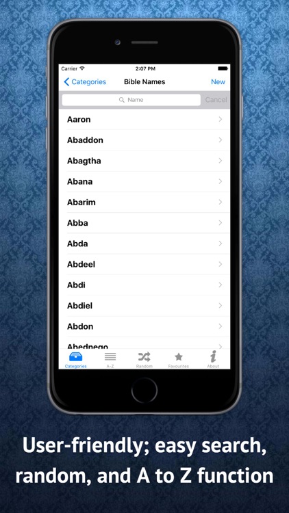 Bible Names Dictionary