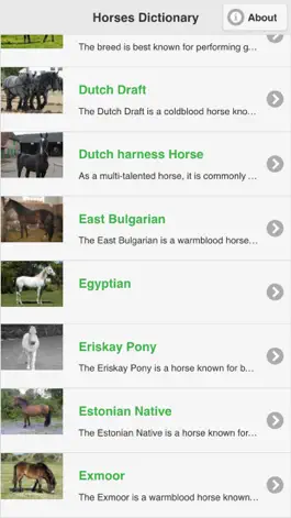 Game screenshot Horses Dictionary hack