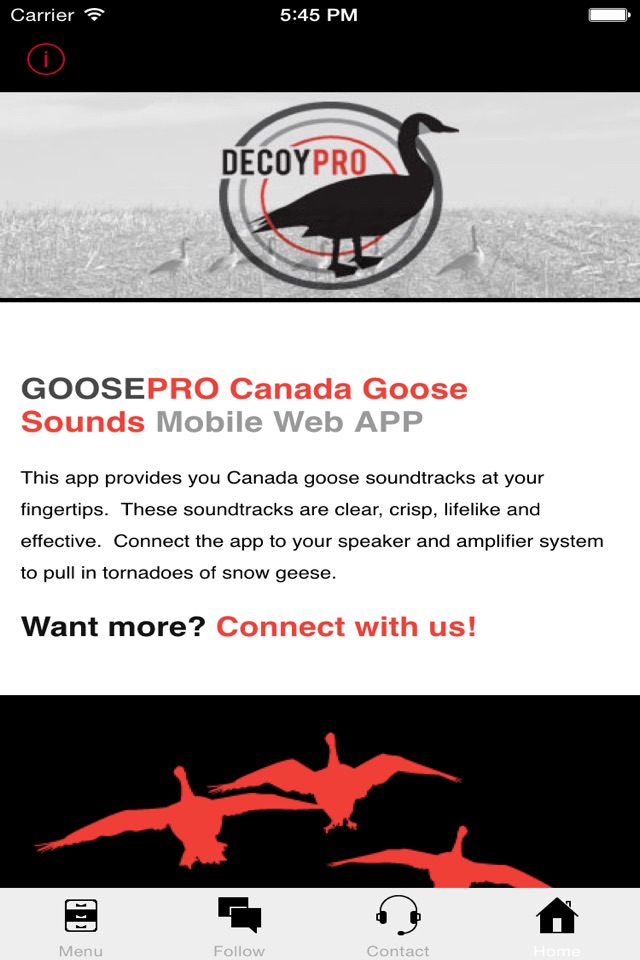 Goose Hunting Calls-Goose Sounds-Goose Call App screenshot 3