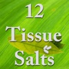 12 Tissue Salts Homeopathy Remedies