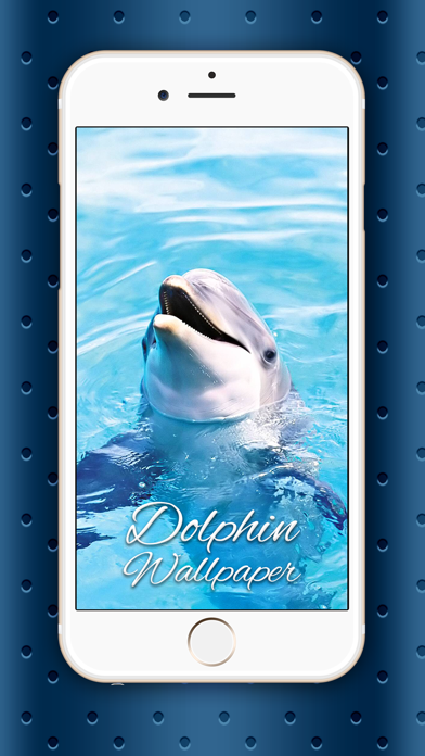 イルカ 壁紙 Hd コレクション かわいい オーシャン テーマ そして かわいいです 網膜 背景 Iphoneアプリ Applion