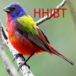 Hilton Head Island Birding Trail