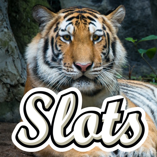 Tiger Slots Safari - Play Free Casino Slot Machine!