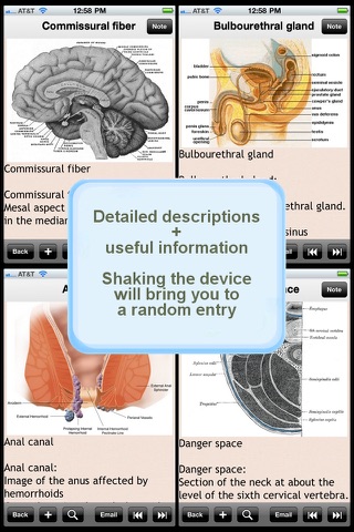 Human Body Encyclopedia Plus+ screenshot 2