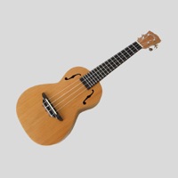 Teach Yourself To Play Ukulele PC 용