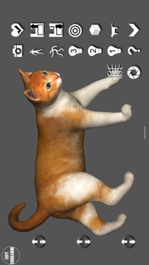 Cat Pose Tool 3D