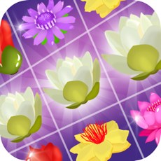 Activities of Flower Star Match